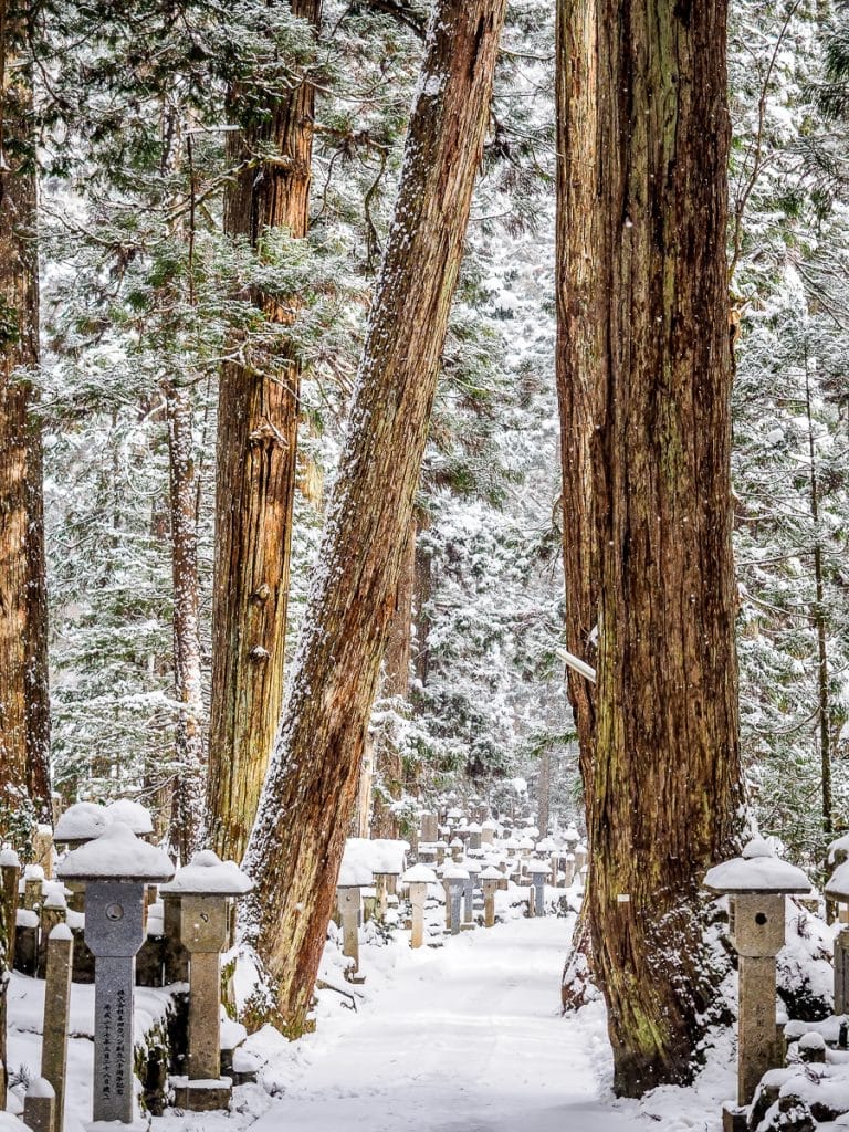 The trail through Okunoin cemetery, Koyasan