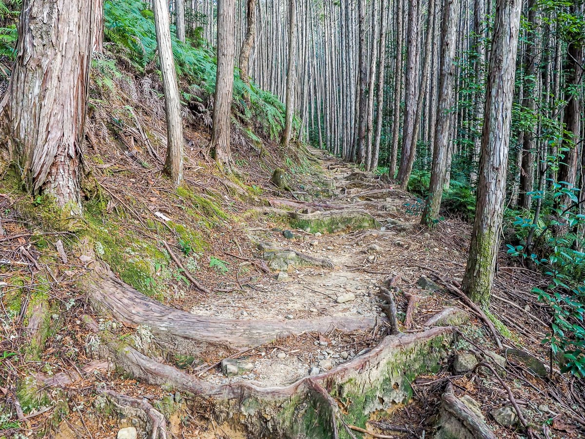 Japan's Sacred Kumano Kodo Walk in Winter - Nickkembel Travels