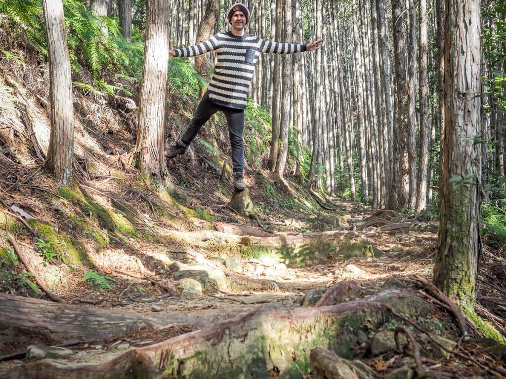 Me on the Dainichi-goe route of the Kumano Kodo walk, from Yunomine to Hongu