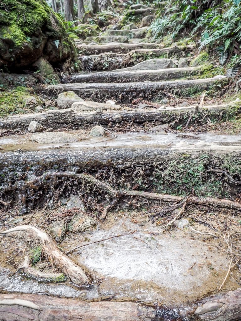 Kumano Kodo trail in winter