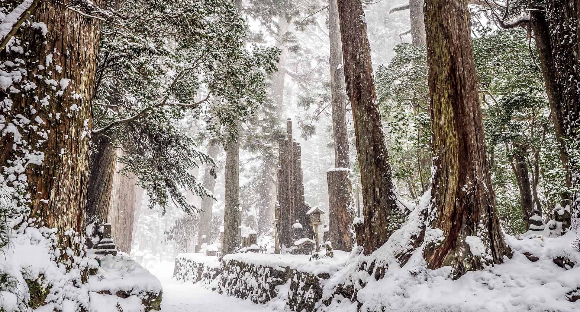 Kumano Kodo in winter