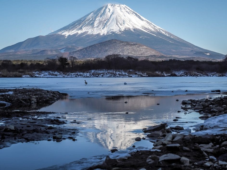 Mt. Fuji reflected on Lake Shoji in winter