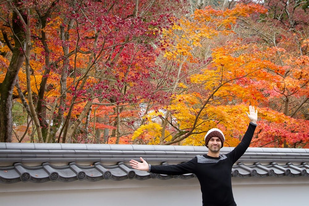 Fall foliage in Kyoto