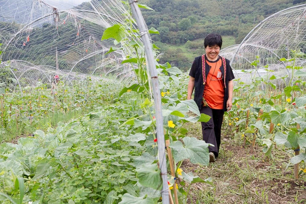 Bunun Leisure Farm, Luye, Taitung