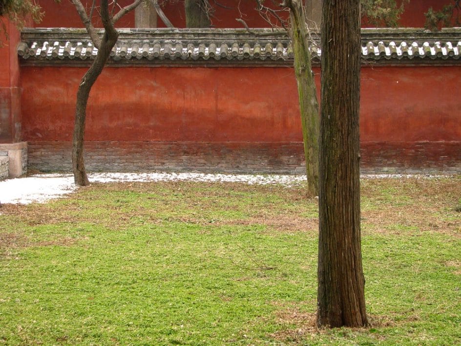 Courtyard in the Temple of Confucius, Qufu