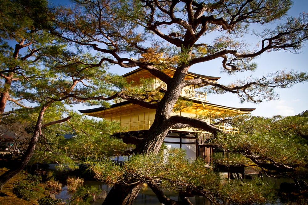 Kinkaku-ji (Golden Pavilion), Kyoto