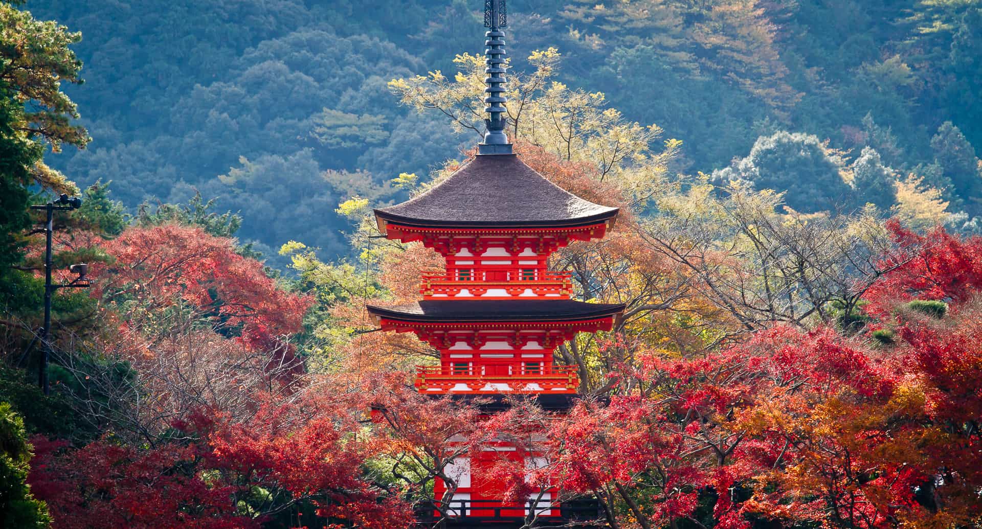 Kyoto 4 day itinerary in autumn