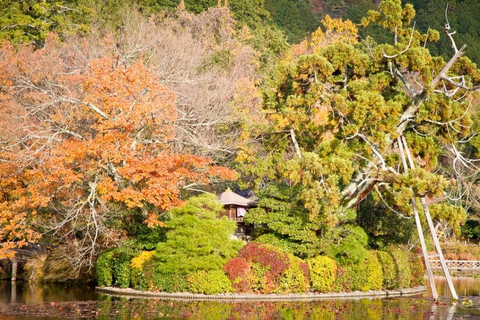 Kyoyo-Chi Pond, Ryoan-ji, Kyoto