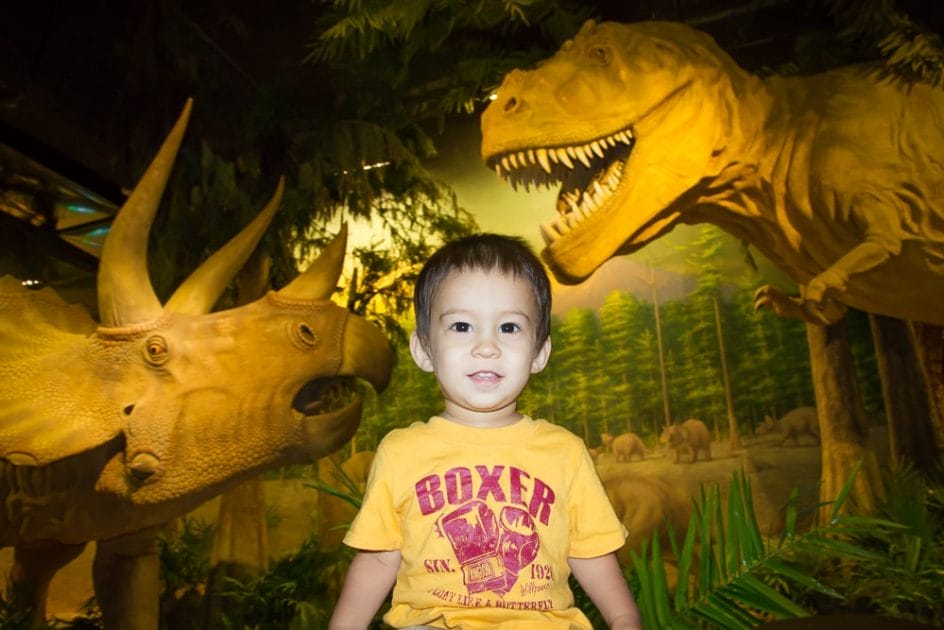 The dinosaur museum at the Taipei Zoo, Muzha