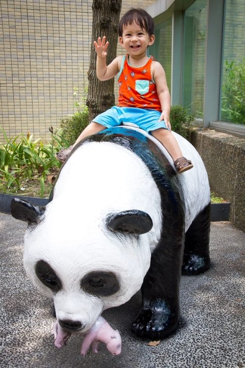 Panda exhibit, Taipei Zoo, Muzha