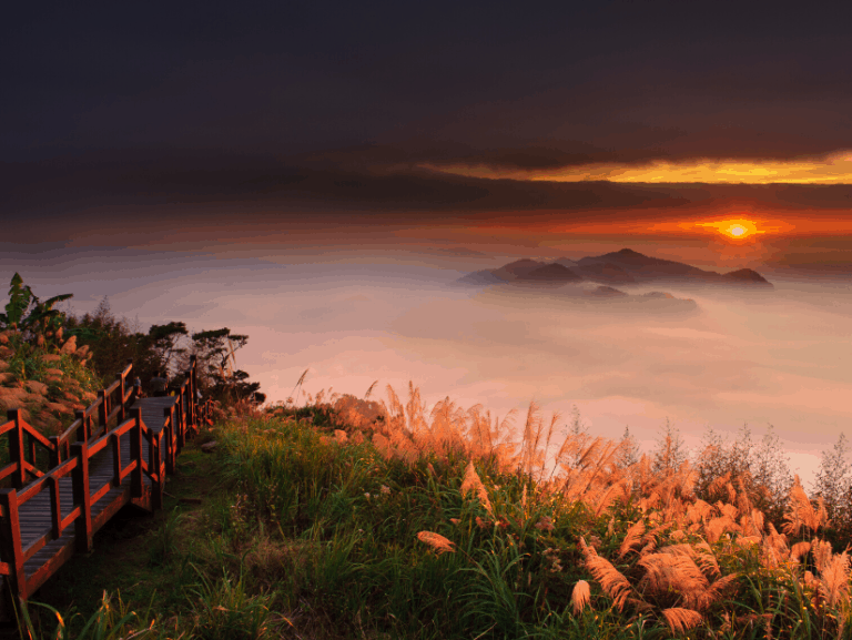 Eryanping, a beautiful sunset spot on the way up to Alishan