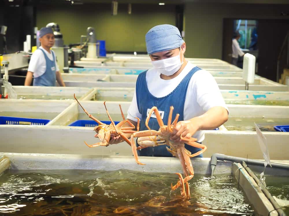 Huge crabs at Addiction Aquatic, Taipei