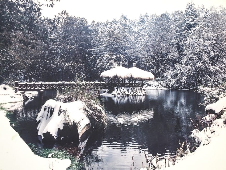 Alishan covered in snow, showing just how cold the January weather in Taiwan can be