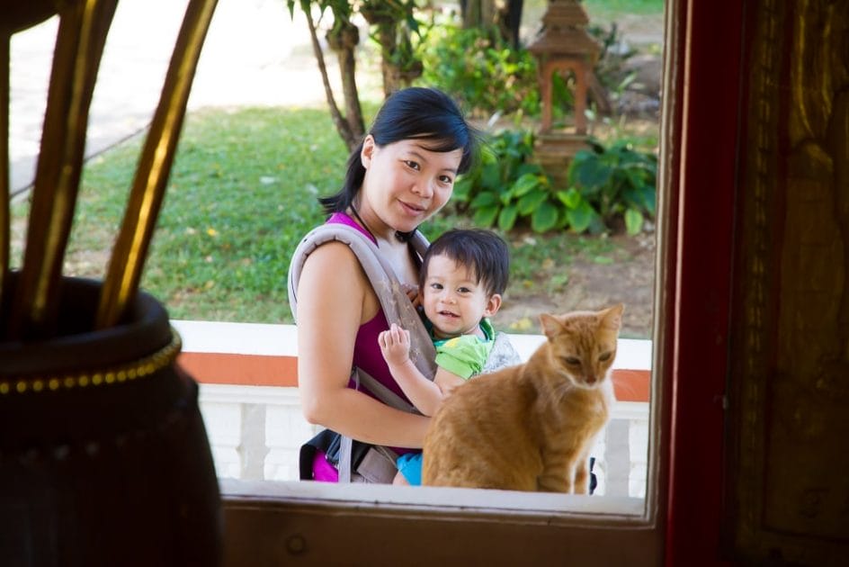 Cat at Wat Chalong, Phuket