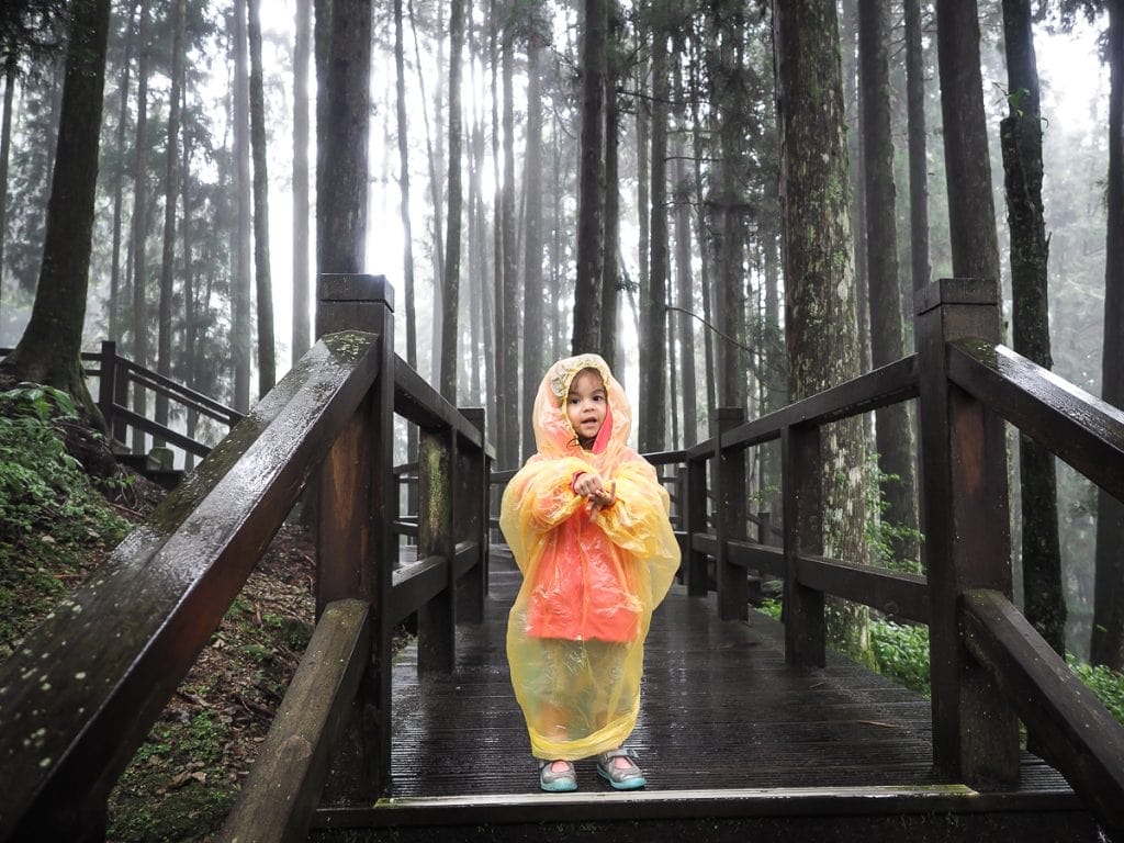 Hiking in Alishan with kids