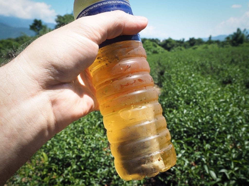 Real iced tea in Luye, Taitung