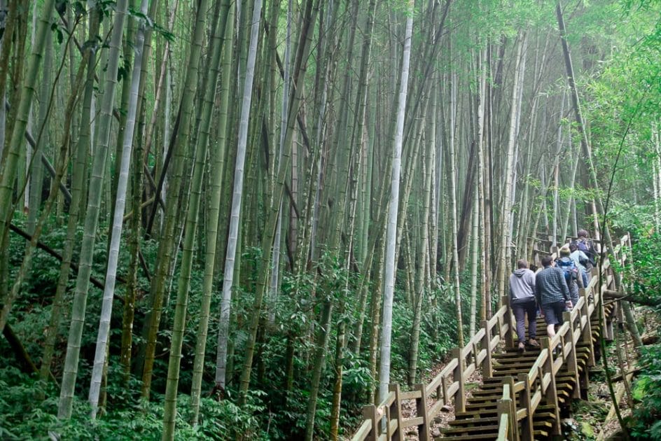 Hiking the Ruitai Historic Trail from Ruili to Taihe near Fenqihu, Alishan