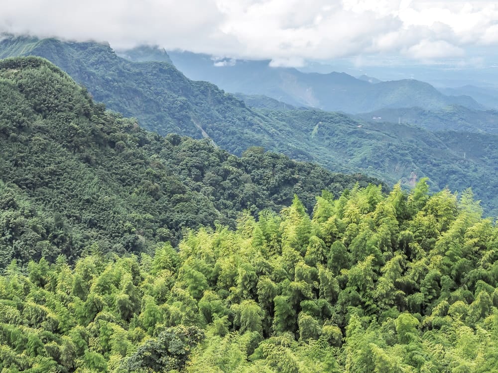 Mountainous view in Alishan