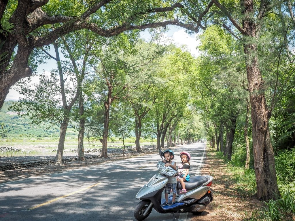 Wuling Green Tunnel, Taitung, Taiwan