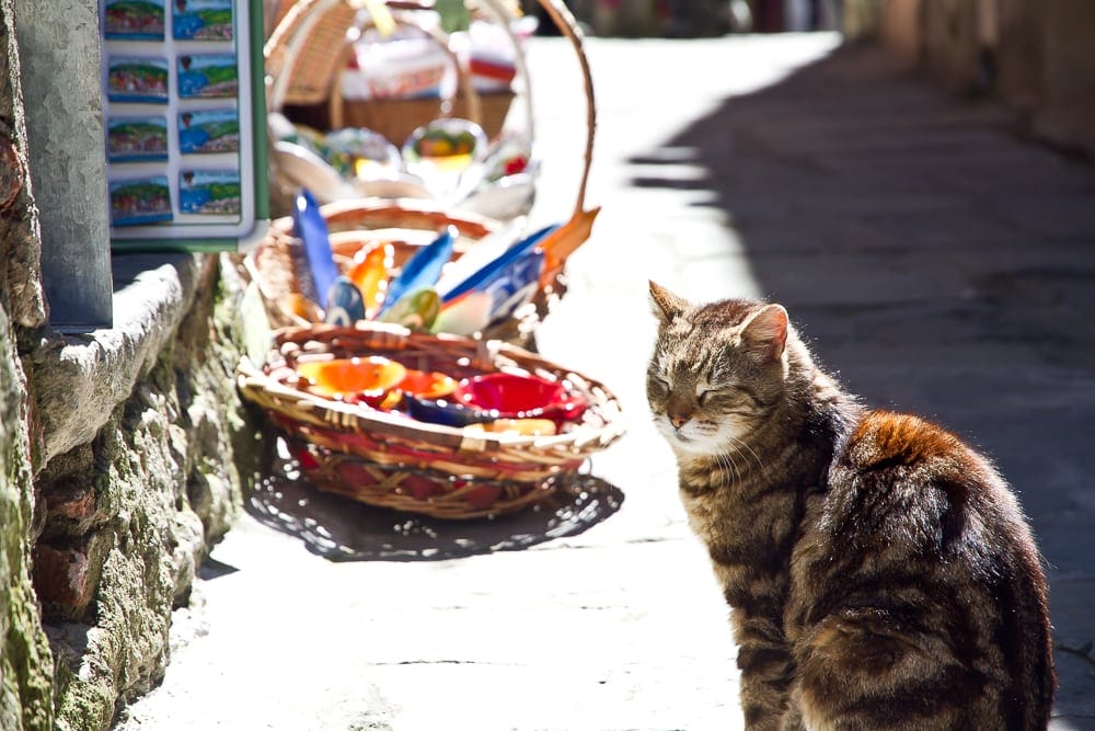 Souvenirs, Corniglia