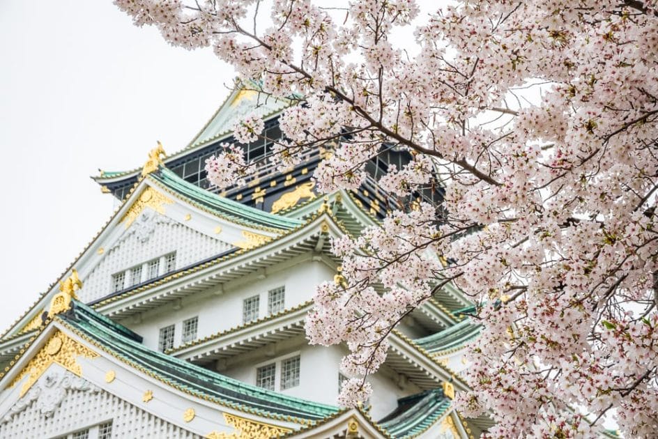 Osaka Castle, one of the best places to see cherry blossoms in Osaka