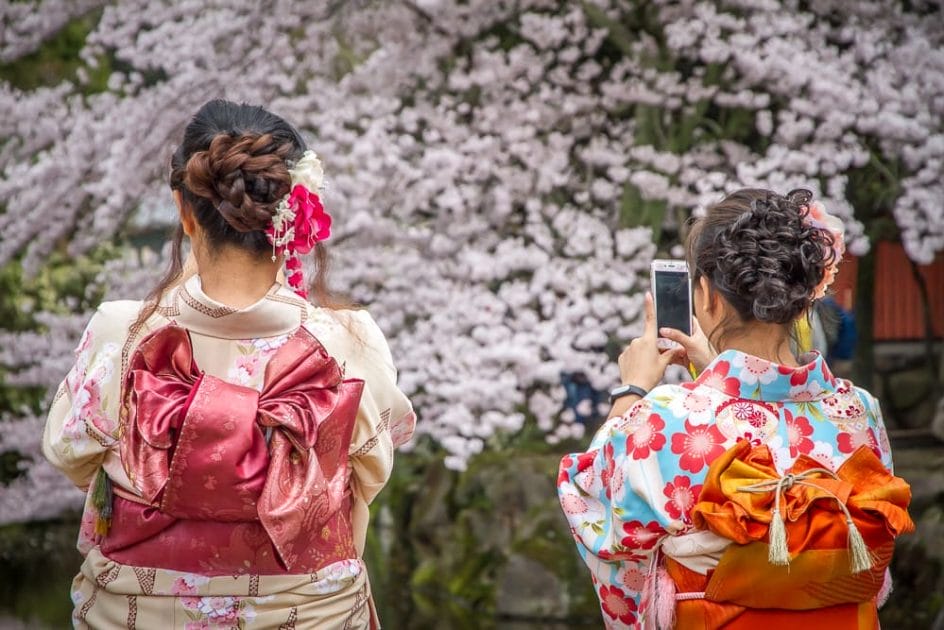 Geishas photographing cherry blossoms
