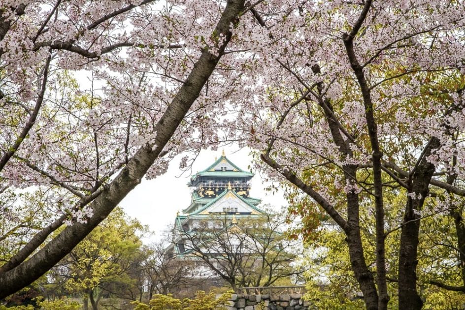 Osaka Castle with cherry blossoms