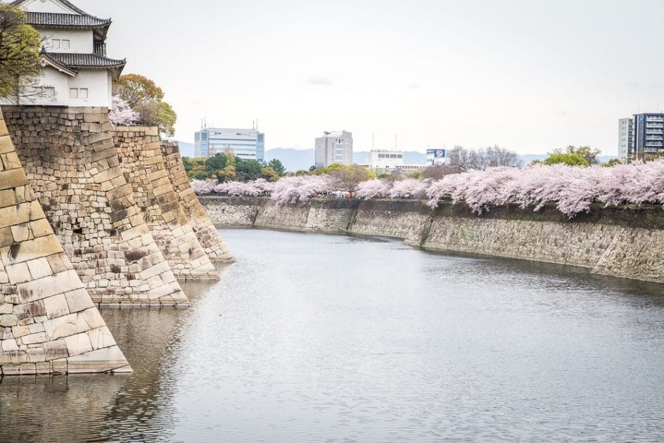 Osaka castle moat with cherry blossoms