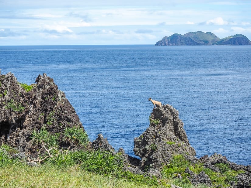 Little Orchid Island (Xiao Lanyu)