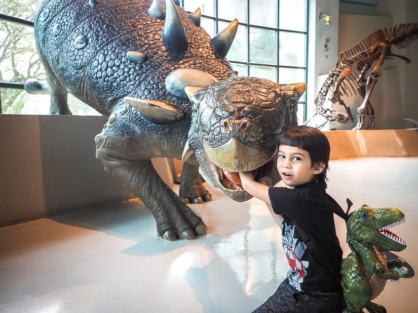 Dinosaurs at Taichung Museum of Natural Science