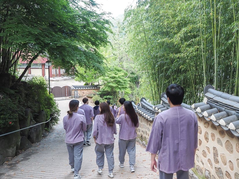 Beomeosa temple stay participants walking down a path at Beomeosa.