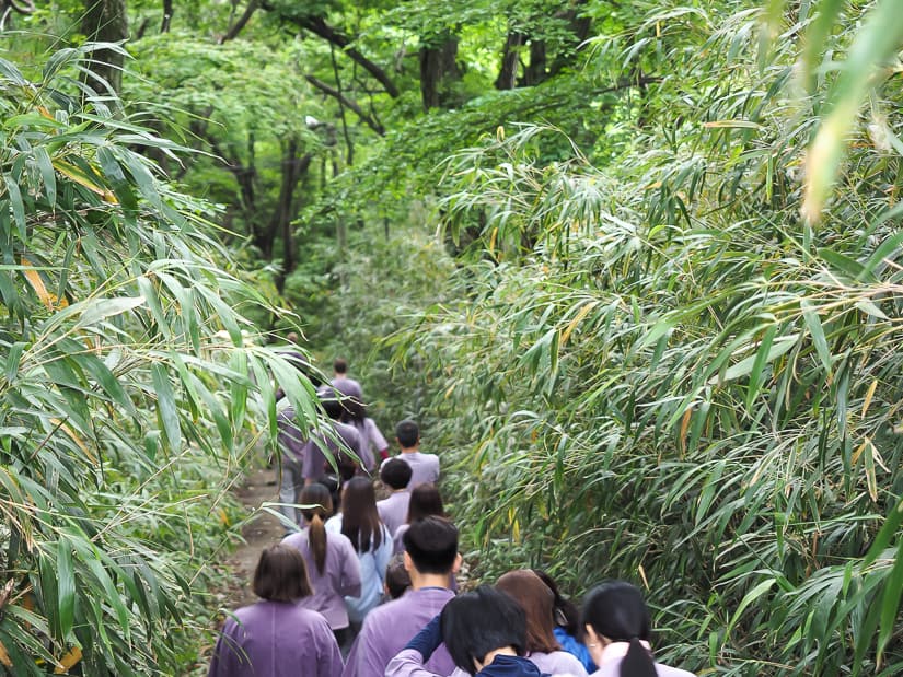 Temple stay participants going for a morning hike to Cheongnyeonam Hermitage