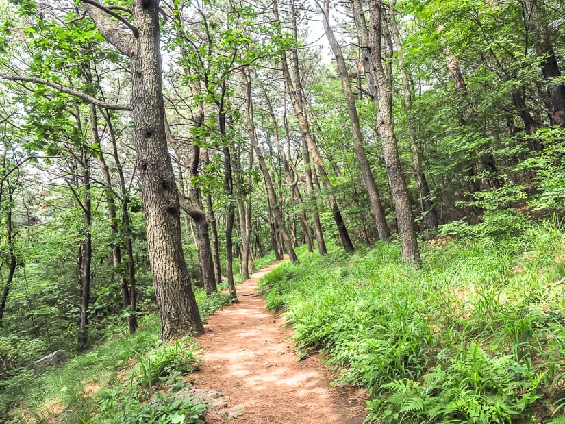 Hiking to Seokbulsa through the forest of Geumjeongsan