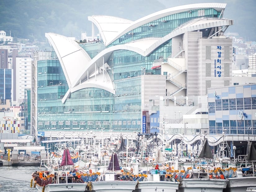 Jagalchi Fish Market, one of Busan's top attractions