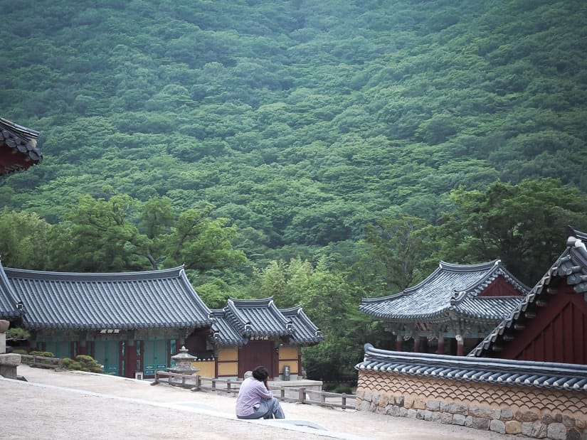 Single temple stay guest admiring scenery at Beomeosa