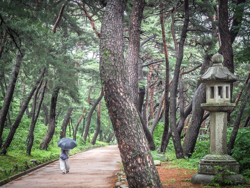 Tongdosa entrance walkway