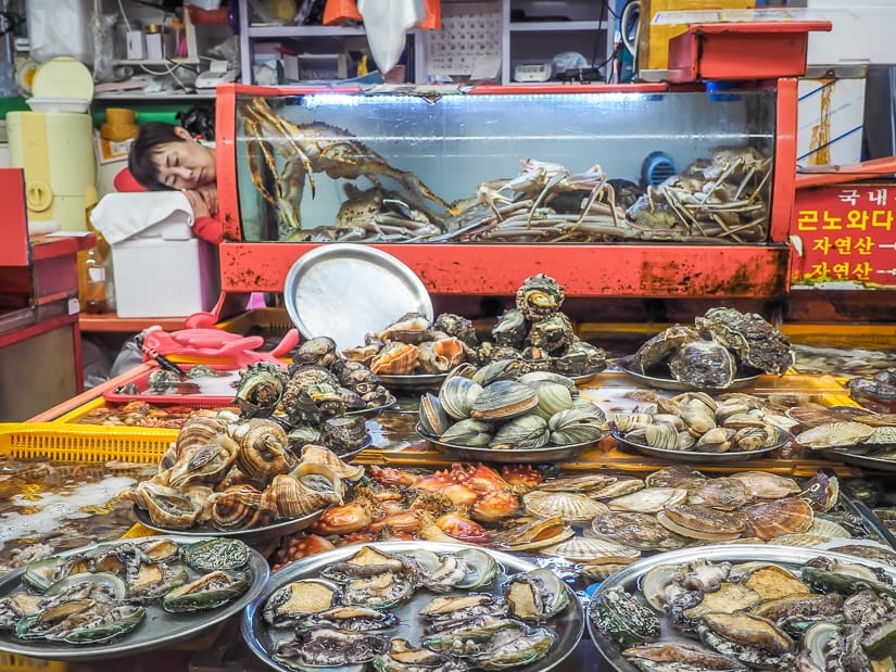 A fish stall vendor asleep by various seafoods at Jagalchi Market, Busan