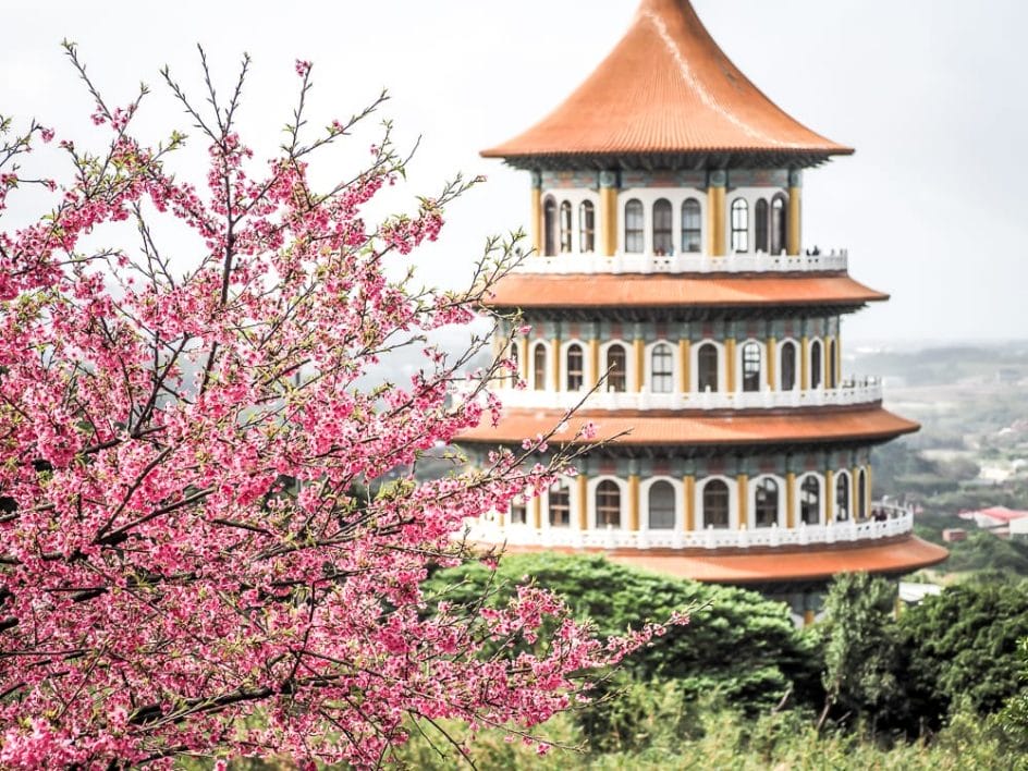 Tianyuan temple, where you can sometimes see cherry blossoms during Chinese New Year