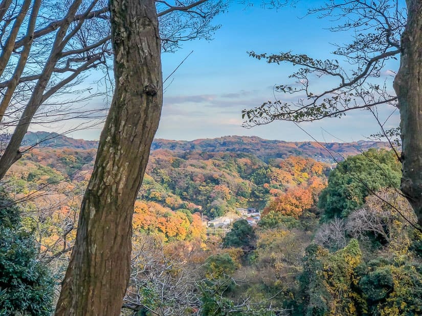 Hiking on a Kamakura day trip