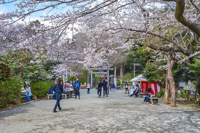 Kuzuhara Oka, Kamakura