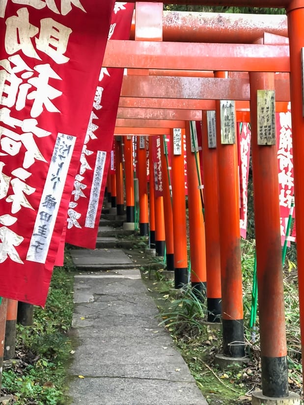 Sasuke Inari Shrine, Kamakura