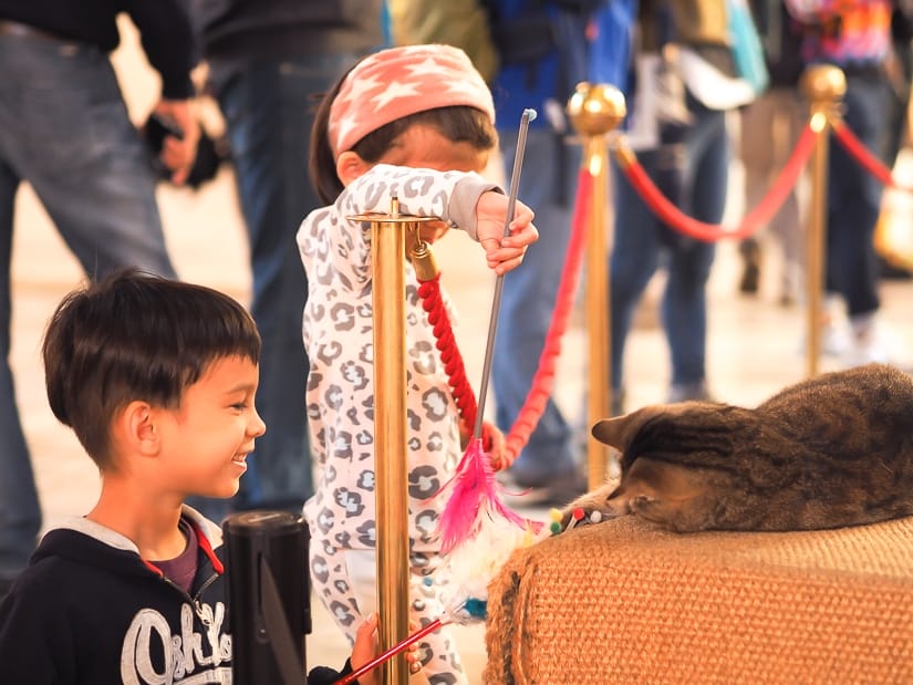 My children playing with a cat inside the Hagia Sophia
