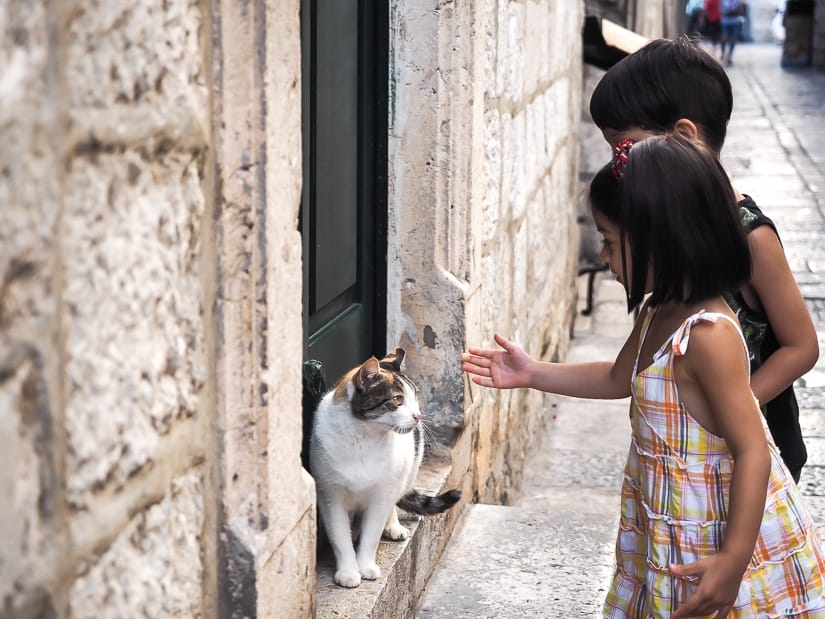 Our kids petting a cat in Dubrovnik