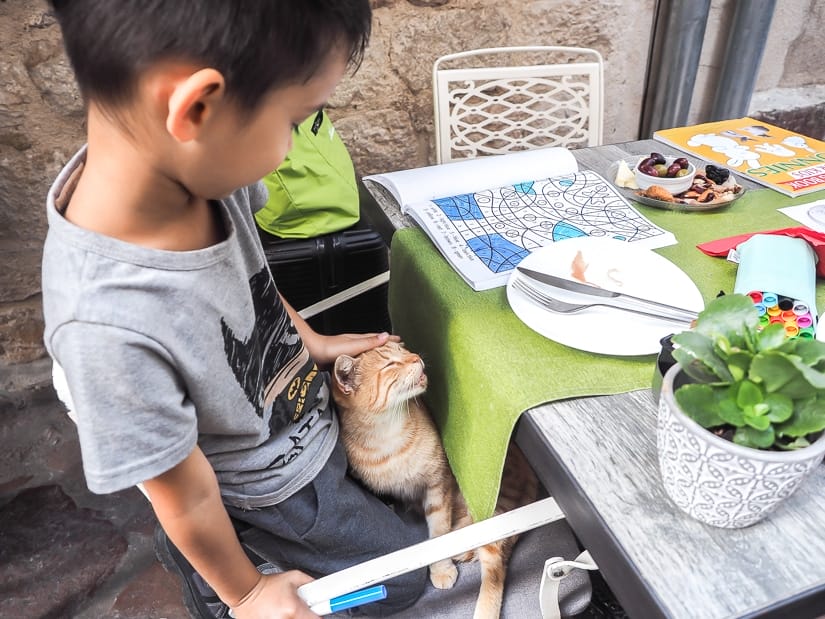 My son petting a cat in his lap in a restaurant in Kotor