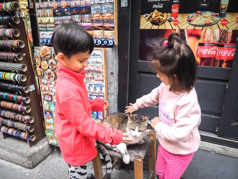 Our kids petting a cat in front of a shop in Istanbul