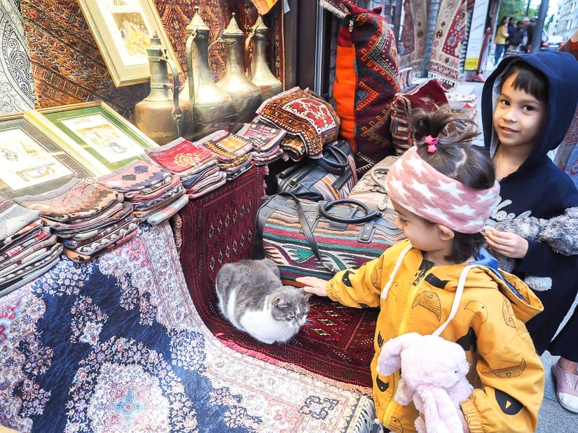 Our kids petting a cat in front of a tourist souvenir shop in Istanbul
