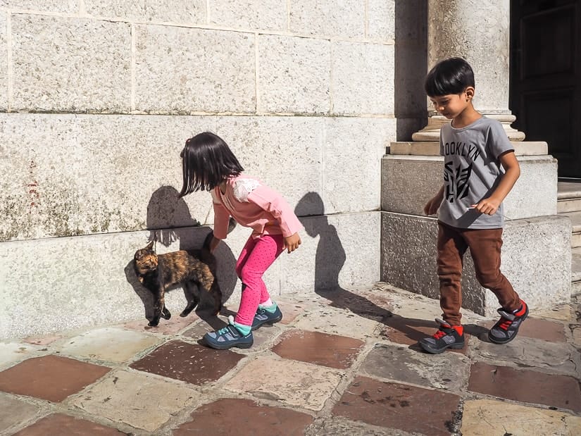 Our kids petting a cat in front of a church in Kotor