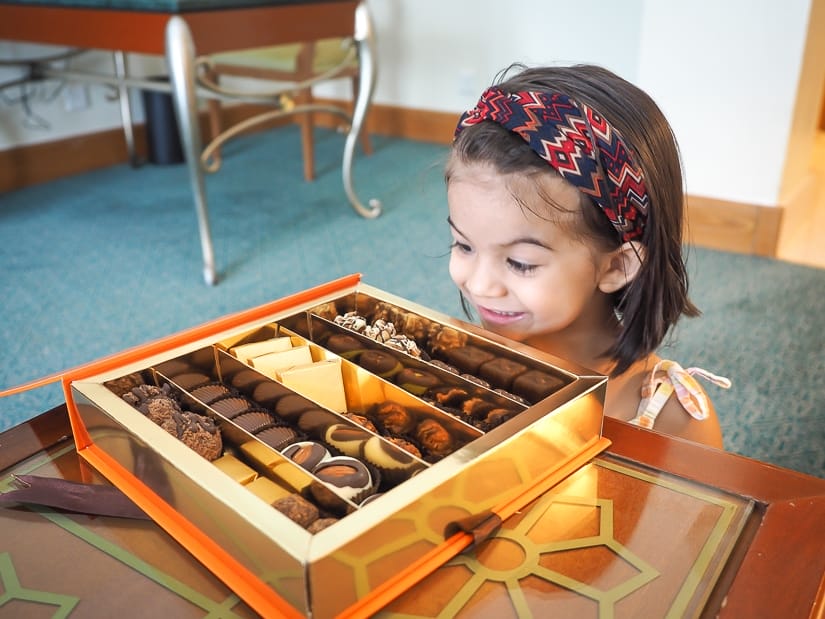 Lavender looking at a box of chocolates in our hotel room