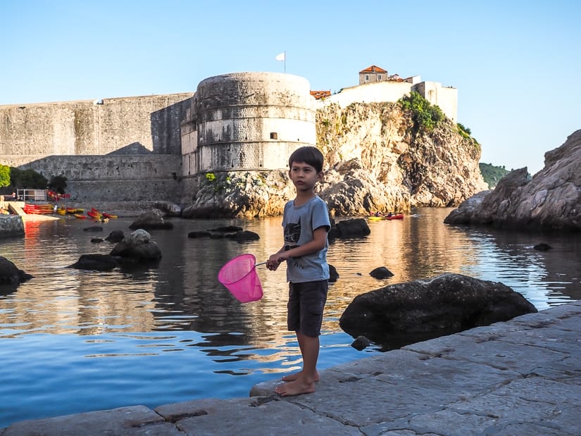 Sage with a children's fishing net at Dubrovnik West Harbor