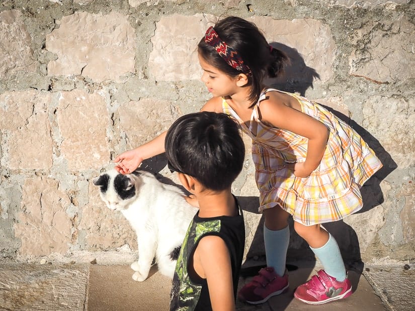 My kids petting a cat on the street in Dubrovnik
